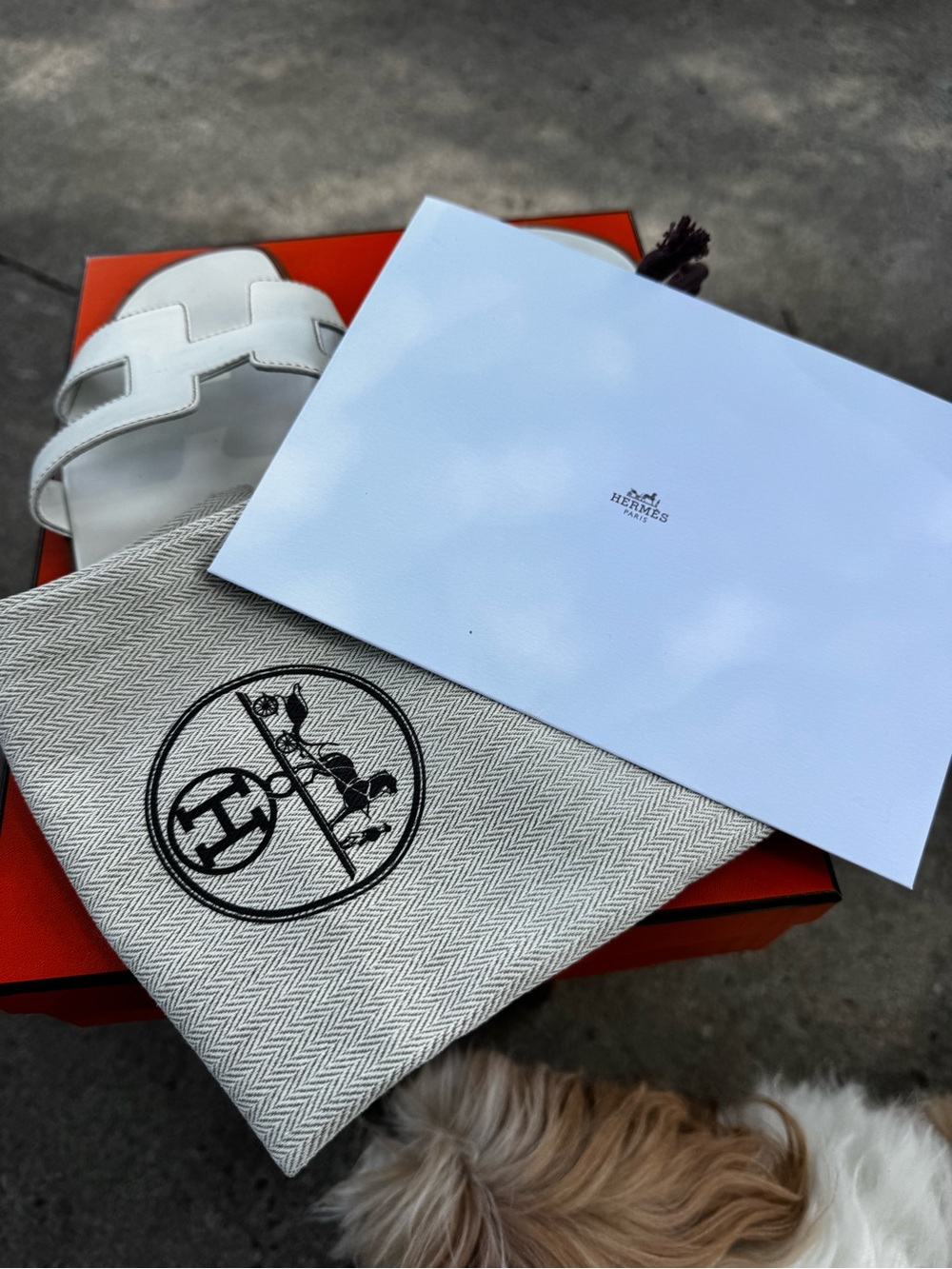 Hermes White Leather Oran Slide Sandals - Picture 2 of 6